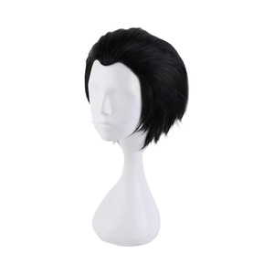 Ace Attorney Phoenix Wright Ryuuichi Naruhodou Gregory Edgeworth Wig