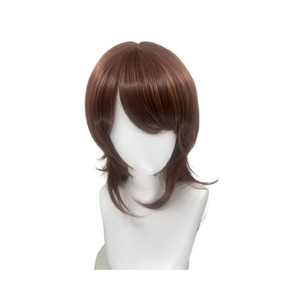 Sweet Punishment Aki Myojin Hina Saotome Wig