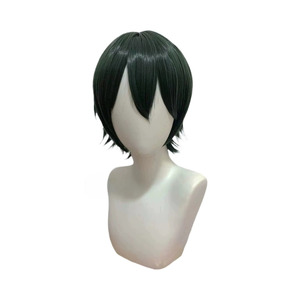 Battle Girl High School Subaru Wakaba Wig