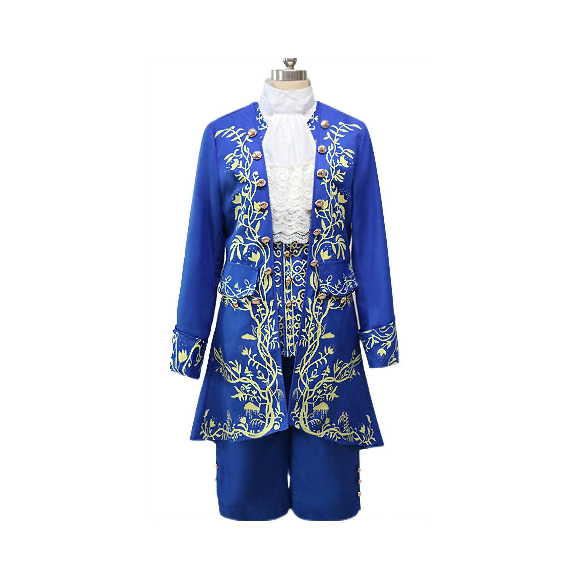 Beauty and the Beast Prince Adam Costume