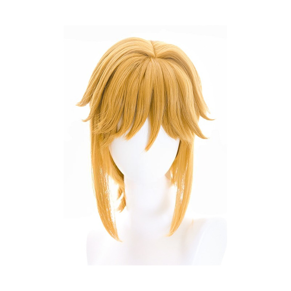 The Legend of Zelda: Breath of the Wild Link Halloween Wig