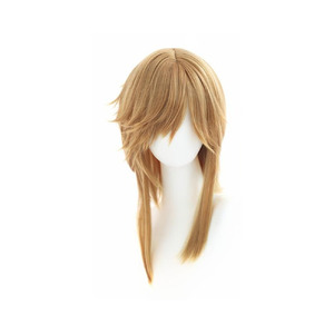 The Legend of Zelda: Breath of the Wild Link Party Wig