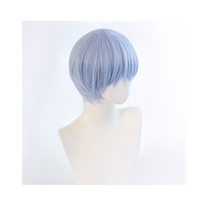 Frieren: Beyond Journey’s End Himmel Wig