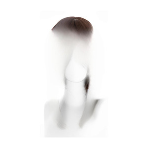 Identity V Gardener Wig