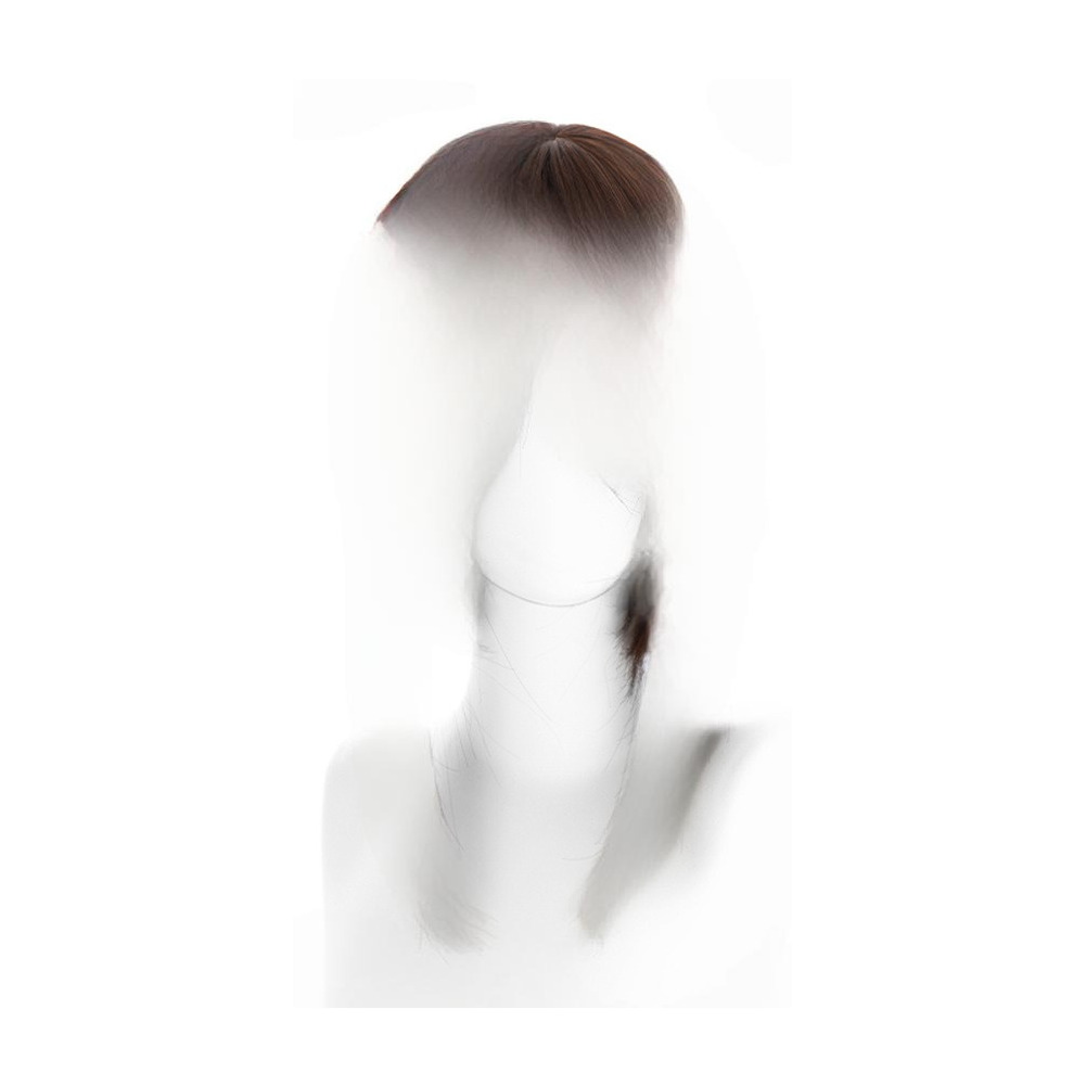 Identity V Gardener Wig