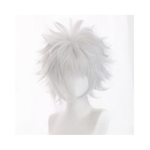 Hunter x Hunter Killua Zoldyck Wig