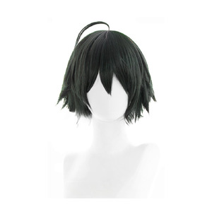 HQ Tadashi Yamaguchi Wig