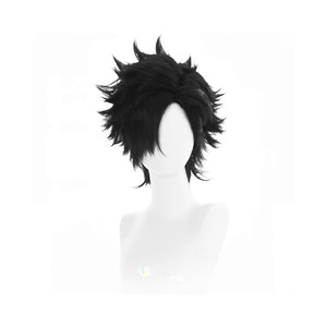 HQ Tetsuro Kuroo Wig