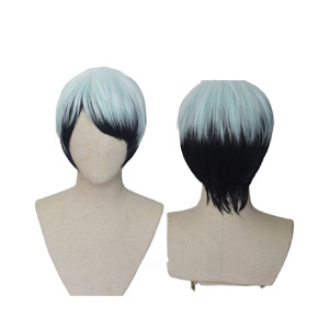 Demon Slayer Kimetsu No Yaiba Yushiro Wig
