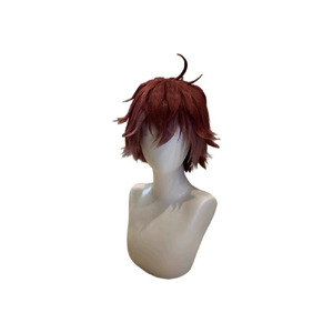 DIABOLIK LOVERS Ayato Sakamaki Azusa Mukami Wig