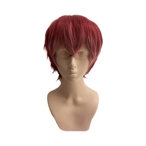 DIABOLIK LOVERS Ayato Sakamaki Azusa Mukami Wig