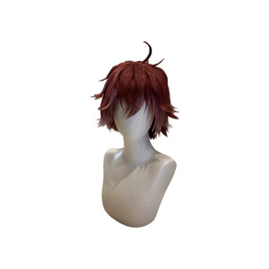 DIABOLIK LOVERS Ayato Sakamaki Azusa Mukami Wig