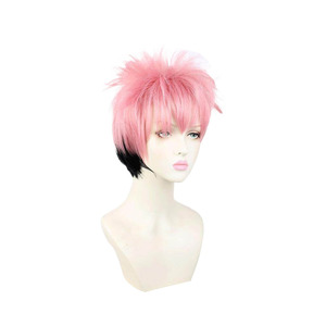 Jujutsu Kaisen Satoru Gojo Yuji Itadori Yuta Okkotsu Kasumi Miwa Wig