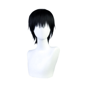 Jujutsu Kaisen Toji Fushiguro 1 Wig