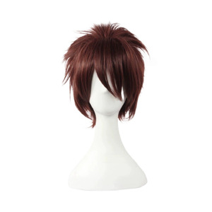 Reborn Tsunayoshi Sawada Wig