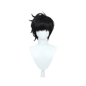 Solo Leveling Sung Jin-Woo Wig