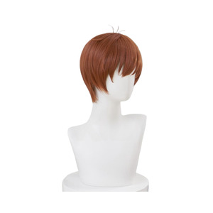 Delicious in Dungeon Chilchuck Tims Wig