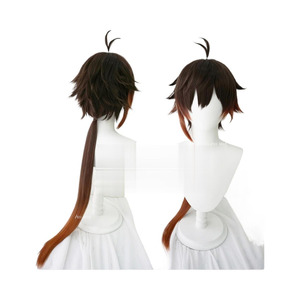 Genshin Impact Zhongli Wig