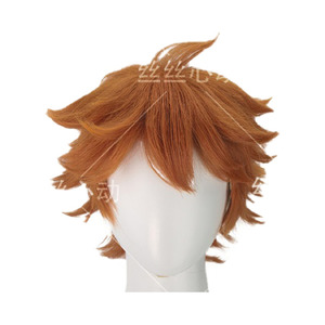 HQ!! Shoyo Hinata Wig