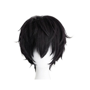 Honkai Star Rail Dan Heng Wig