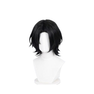 Hunter x Hunter Feitan Portor Wig