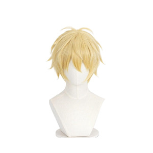 Skip and Loafer Sosuke Shima Wig