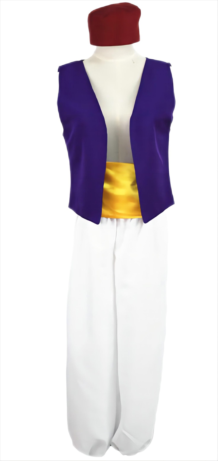 Aladdin Costume