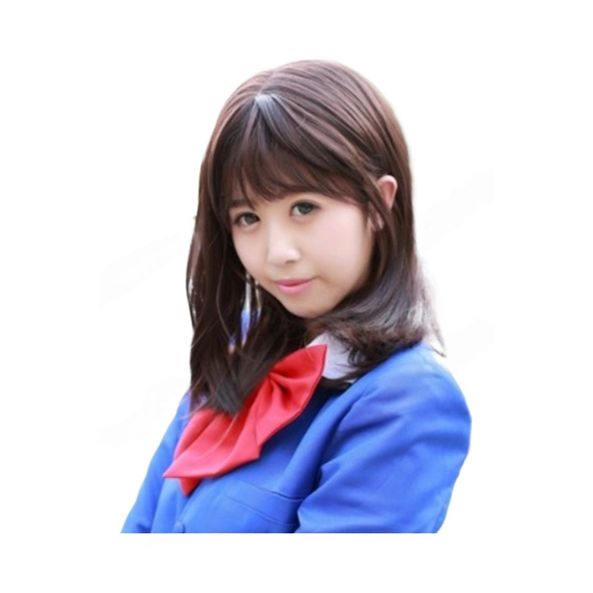 Slam Dunk Kaori Sasaki Atsuko Maeda Yuko Oshima Haruko Akagi Renko Usami Wig