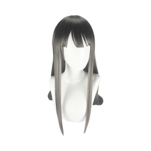 Rascal Does Not Dream of Bunny Girl Senpai Mai Sakurajima Wig